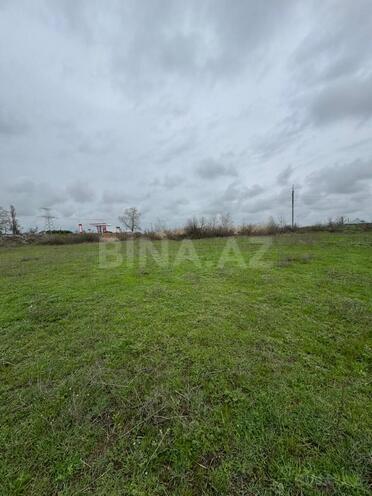 Satılır  torpaq 100 sot, photo 3 from 11