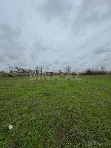 Satılır  torpaq 100 sot, photo 7 from 11