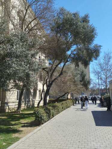 Satılır 3 otaqlı köhnə tikili 75 m², Yasamal r., photo 3 from 17