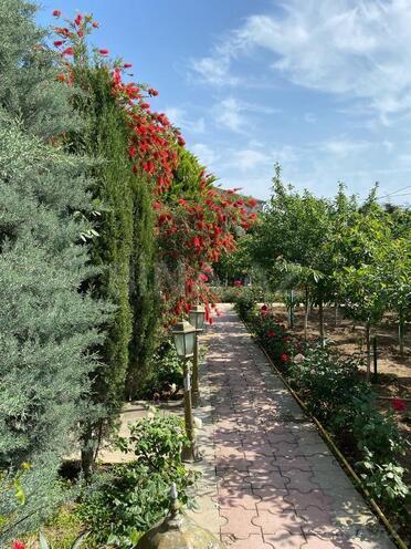 İcarəyə verilir 5 otaqlı həyət evi/bağ evi 230 m², Mərdəkan q., photo 21 from 29
