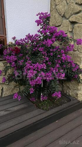 Продаётся 6-комн. дом/дача 260 м², пос. Мардакан, photo 9 from 11