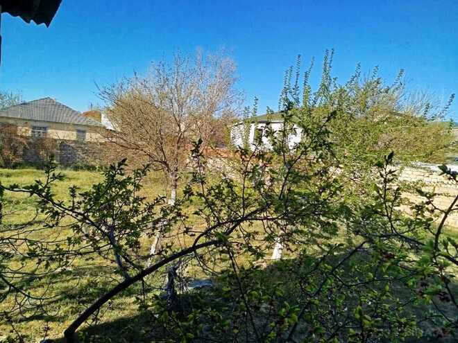 Satılır 2 otaqlı həyət evi/bağ evi 110 m², Novxanı q., photo 20 from 27