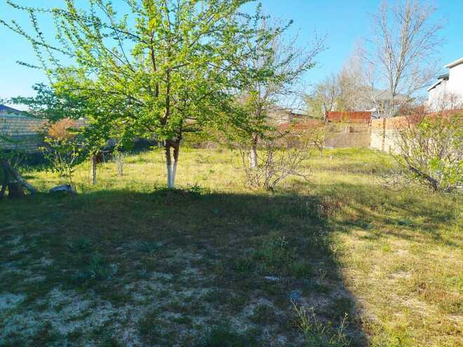 Satılır 2 otaqlı həyət evi/bağ evi 110 m², Novxanı q., photo 22 from 27