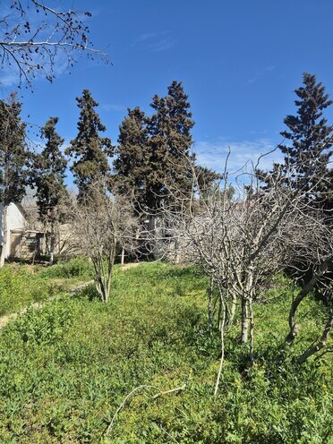 Satılır  torpaq 14 sot, Şüvəlan q., photo 28 from 29
