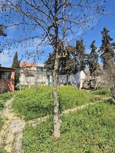 Satılır  torpaq 14 sot, Şüvəlan q., photo 27 from 29