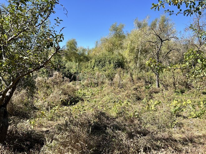 Продаётся 5-комн. дом/дача 164 м², photo 12 from 25