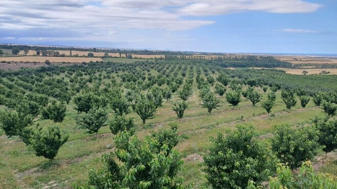 Satılır  torpaq 2 000 sot, photo 1 from 21