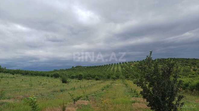 Satılır  torpaq 2 000 sot, photo 12 from 21