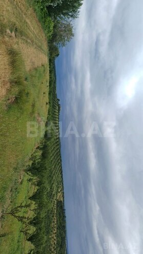 Satılır  torpaq 2 000 sot, photo 8 from 21