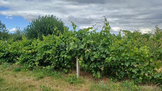 Satılır  torpaq 2 000 sot, photo 20 from 21