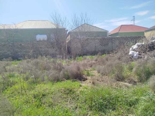 Продаётся  участок 7 сот, пос. Забрат, photo 6 from 8