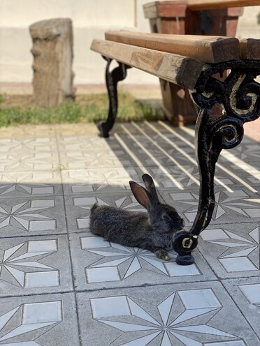 Продаётся 6-комн. дом/дача 260 м², пос. Пиршаги, photo 23 from 24