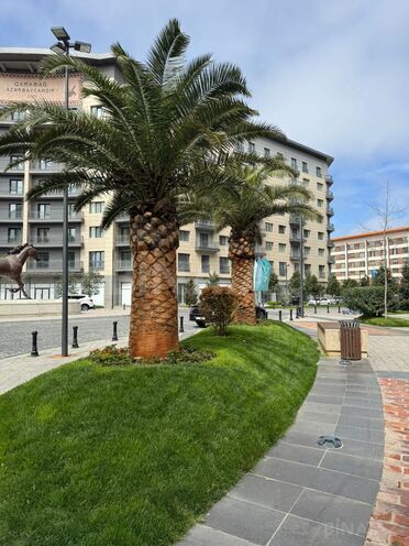 Сдаётся  объект 107 м², пос. Аг шехер, photo 5 from 8