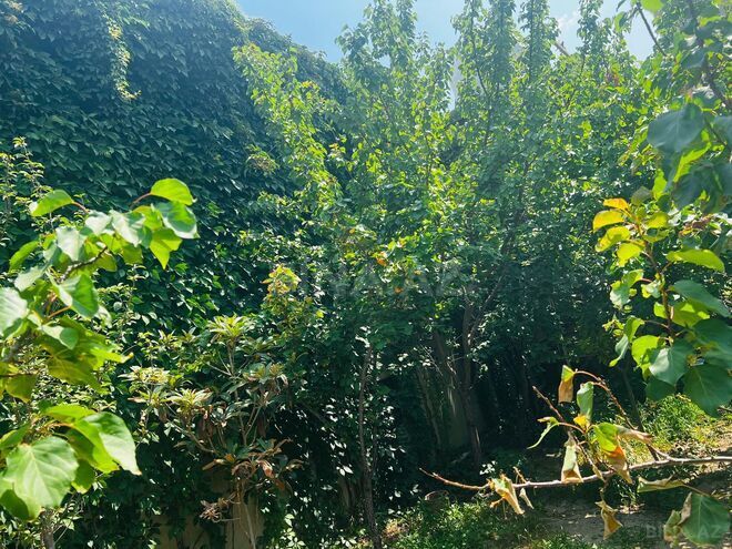 Продаётся 8-комн. дом/дача 100 м², пос. Новханы, photo 25 from 30