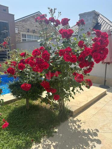 Продаётся 4-комн. дом/дача 170 м², пос. Мардакан, photo 9 from 32