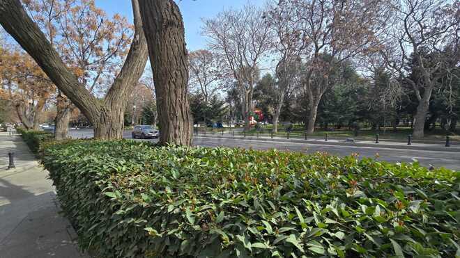 İcarəyə verilir  obyekt 73 m², Nəsimi r., photo 17 from 18