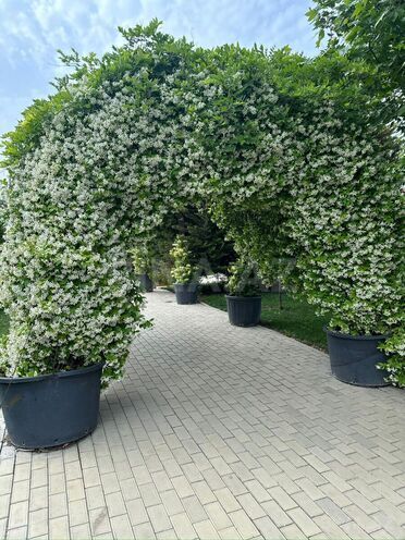 Сдаётся 6-комн. дом/дача 500 м², пос. Бильгях, photo 5 from 22