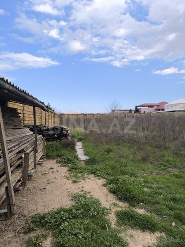 Продаётся  участок 24 сот, пос. Новханы, photo 5 from 7