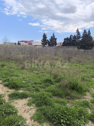 Продаётся  участок 24 сот, пос. Новханы, photo 6 from 7