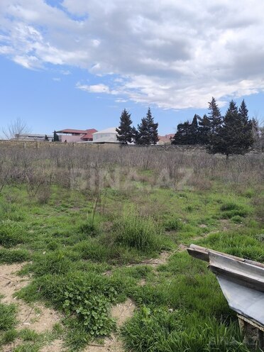 Продаётся  участок 24 сот, пос. Новханы, photo 4 from 7