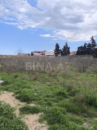 Продаётся  участок 24 сот, пос. Новханы, photo 1 from 7