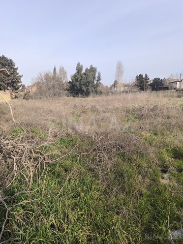 Продаётся  участок 25 сот, пос. Новханы, photo 14 from 22