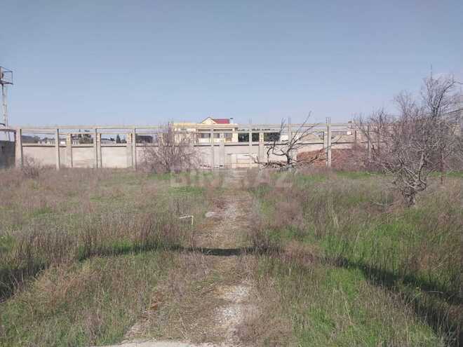 Satılır  torpaq 10 sot, Türkan q., photo 10 from 13