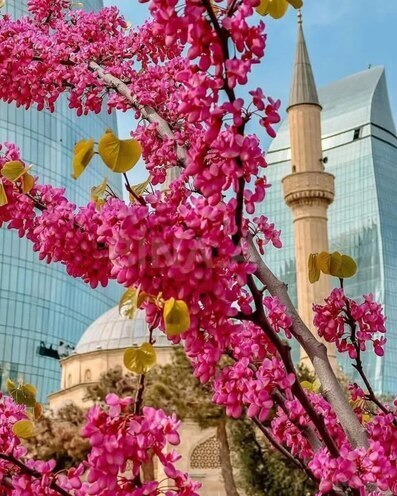 Сдаётся 2-комн. вторичка 65 м², м. Ичеришехер, photo 15 from 16