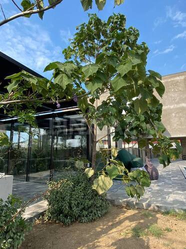 Satılır 7 otaqlı həyət evi/bağ evi 350 m², Novxanı q., photo 6 from 30