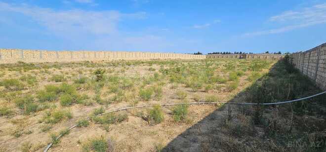 Satılır  torpaq 23 sot, Novxanı q., photo 4 from 12