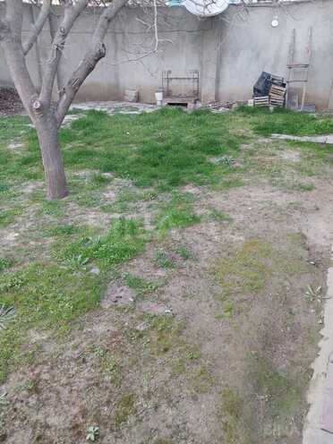 Продаётся  участок 4 сот, пос. Бадамдар, photo 4 from 9