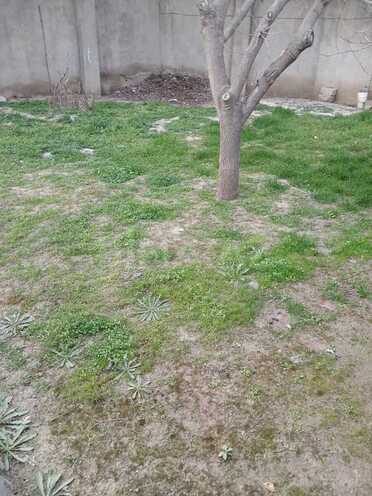 Продаётся  участок 4 сот, пос. Бадамдар, photo 6 from 9