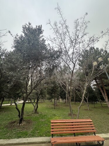 Продаётся 4-комн. новостройка 164 м², м. Элмляр Академиясы, photo 28 from 30