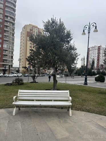 Продаётся 4-комн. новостройка 164 м², м. Элмляр Академиясы, photo 29 from 30