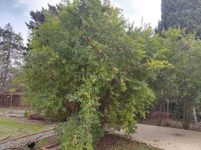 Satılır 7 otaqlı həyət evi/bağ evi 275 m², Şüvəlan q., photo 30 from 32