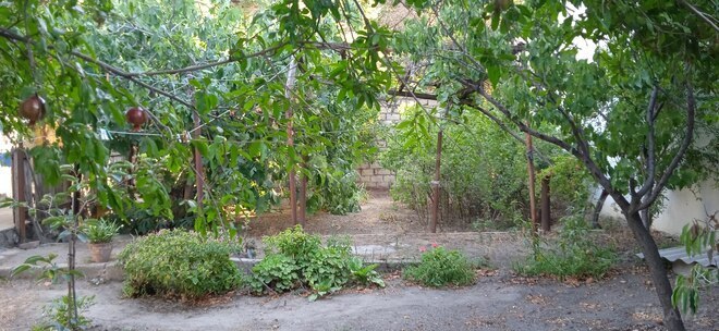 Satılır 1 otaqlı həyət evi/bağ evi 32 m², Qara Qarayev m., photo 6 from 8