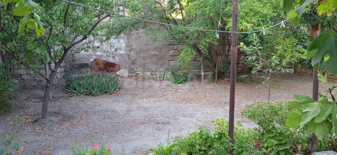 Satılır 1 otaqlı həyət evi/bağ evi 32 m², Qara Qarayev m., photo 7 from 8