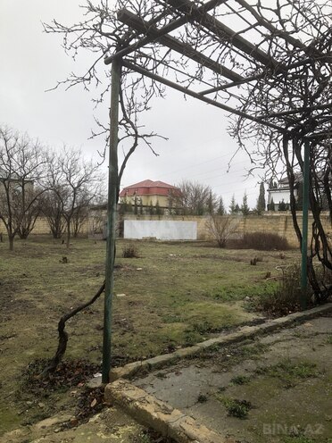 Satılır  torpaq 4.8 sot, Saray q., photo 5 from 30