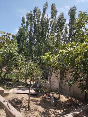 Продаётся  участок 27 сот, м. Низами, photo 8 from 9