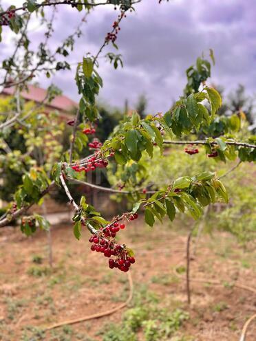 Satılır 6 otaqlı həyət evi/bağ evi 600 m², Mərdəkan q., photo 7 from 32