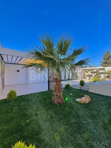 Продаётся 5-комн. дом/дача 250 м², пос. Мардакан, photo 8 from 32