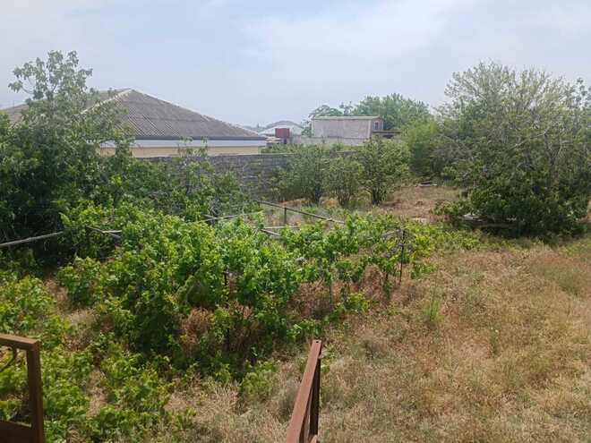 Продаётся  участок 12 сот, пос. Нардаран, photo 6 from 32