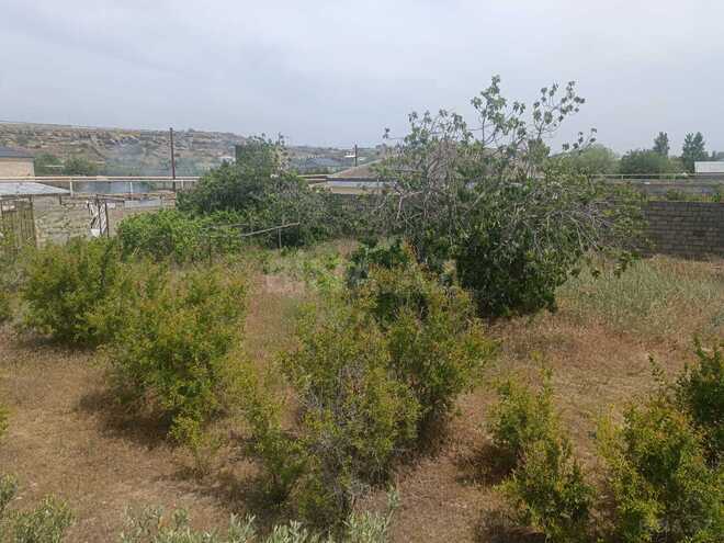 Продаётся  участок 12 сот, пос. Нардаран, photo 8 from 32