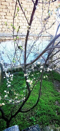 Satılır 6 otaqlı həyət evi/bağ evi 240 m², Avtovağzal m., photo 14 from 20