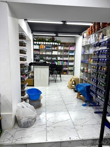 Satılır  obyekt 260 m², Azadlıq Prospekti m., photo 6 from 10