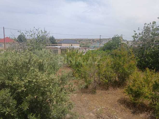 Продаётся  участок 12 сот, пос. Нардаран, photo 15 from 23