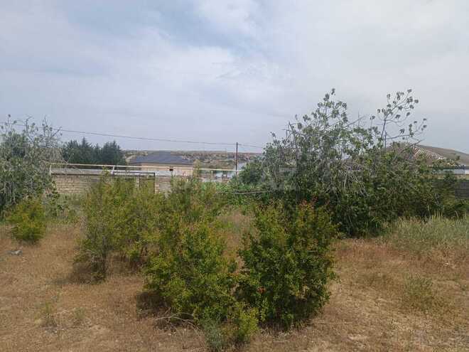 Продаётся  участок 12 сот, пос. Нардаран, photo 17 from 23