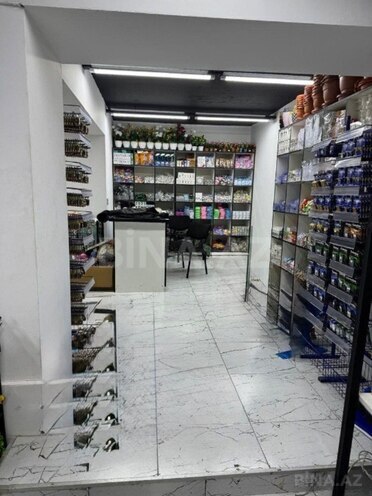 Satılır  obyekt 260 m², Azadlıq Prospekti m., photo 6 from 12