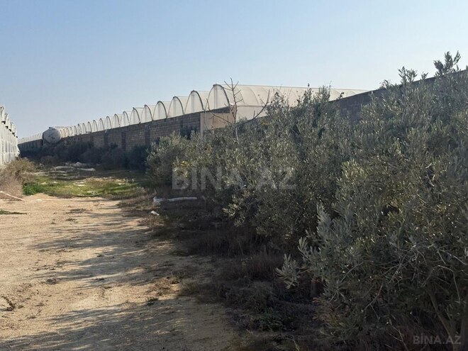 Satılır  obyekt 10 000 m², Türkan q., photo 4 from 8