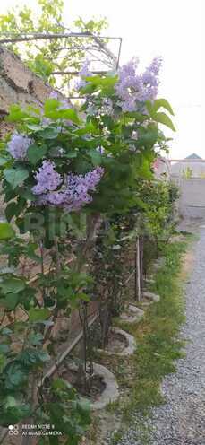 Продаётся 3-комн. дом/дача 65 м², пос. Маштаги, photo 3 from 14